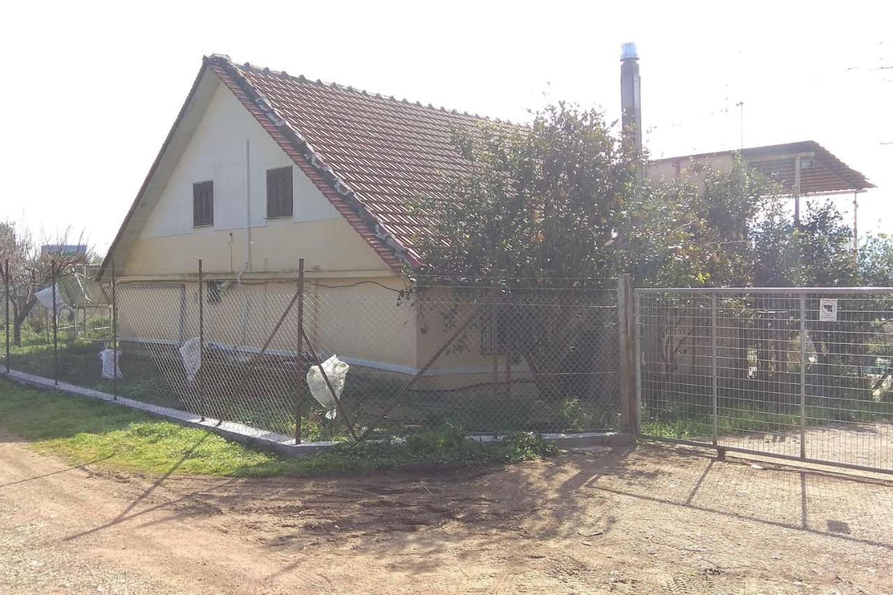 Mallios Country House Near Ancient Olympia Exterior foto